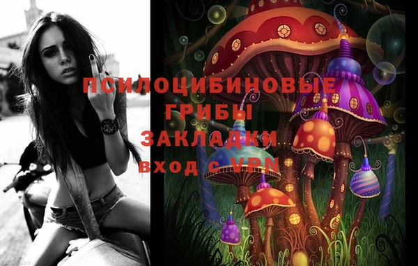 дурь Горно-Алтайск