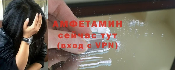 спиды Вяземский