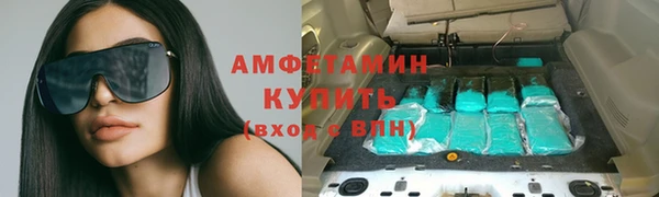 спиды Вяземский