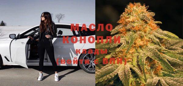 спиды Вяземский