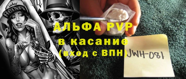 спиды Вяземский