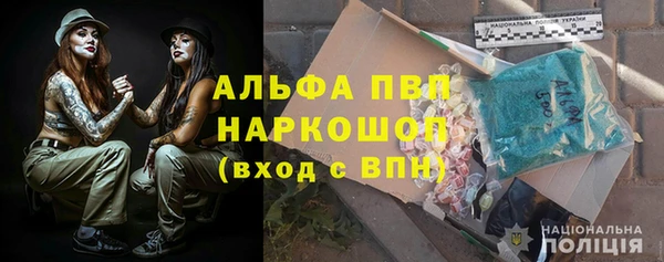 спиды Вяземский