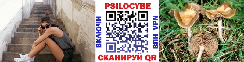 это официальный сайт  Сызрань  Галлюциногенные грибы Psilocybe  где можно купить   гидра зеркало 